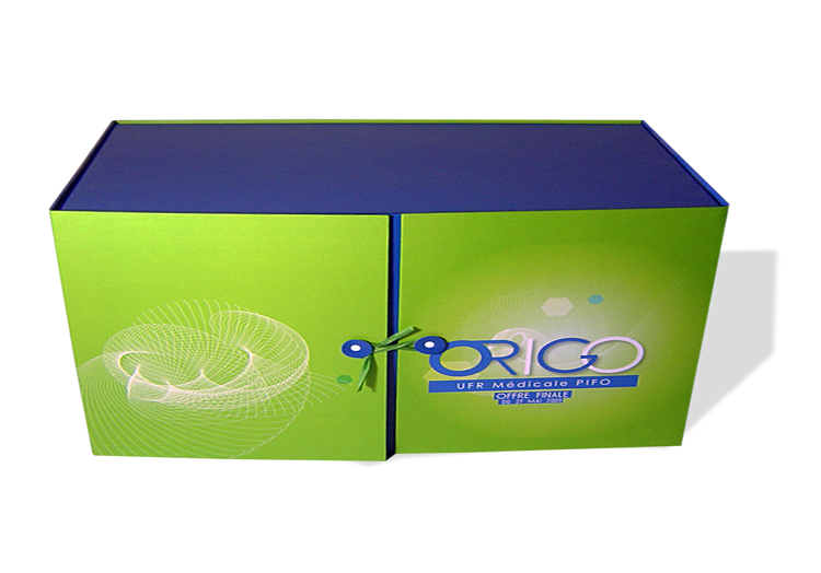 Coffret Origo rembordé de balacron bleu et vert avec impression a 2 portes fermeture a la chinoise Une étagère séparée une pochette intérieure a gauche et un porte cd a droite